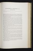 Introduction to the mammals of Australia, 1:176