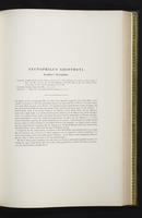 Introduction to the mammals of Australia, 1:156