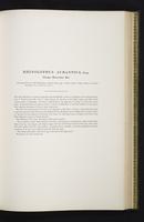 Introduction to the mammals of Australia, 1:148