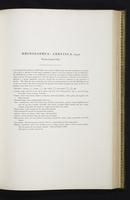 Introduction to the mammals of Australia, 1:144