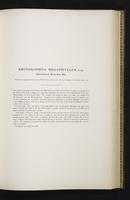 Introduction to the mammals of Australia, 1:140