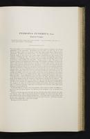 Introduction to the mammals of Australia, 1:128