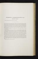 Introduction to the mammals of Australia, 1:124