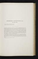 Introduction to the mammals of Australia, 1:116