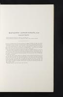 Introduction to the mammals of Australia, 1:40