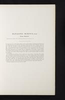 Introduction to the mammals of Australia, 1:36