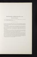 Introduction to the mammals of Australia, 1:28