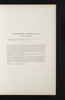 Introduction to the mammals of Australia, 1:24