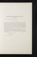 Introduction to the mammals of Australia, 1:20