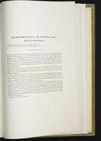 Introduction to the mammals of Australia, 1:290