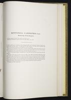 Introduction to the mammals of Australia, 1:274