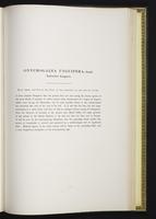 Introduction to the mammals of Australia, 1:218