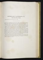 Introduction to the mammals of Australia, 1:186