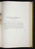 Introduction to the mammals of Australia, 1:182