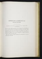 Introduction to the mammals of Australia, 1:174