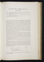 Introduction to the mammals of Australia, 1:130