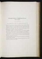 Introduction to the mammals of Australia, 1:126