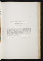 Introduction to the mammals of Australia, 1:114