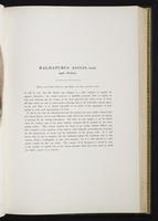 Introduction to the mammals of Australia, 1:106