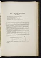 Introduction to the mammals of Australia, 1:102