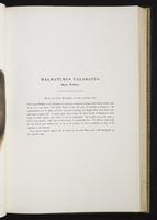 Introduction to the mammals of Australia, 1:98