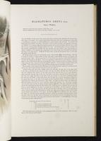 Introduction to the mammals of Australia, 1:86