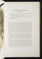 Introduction to the mammals of Australia, 1:78