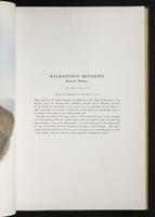 Introduction to the mammals of Australia, 1:74