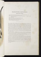 Introduction to the mammals of Australia, 1:70