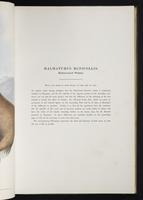 Introduction to the mammals of Australia, 1:66