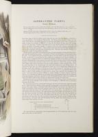 Introduction to the mammals of Australia, 1:62