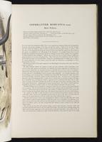 Introduction to the mammals of Australia, 1:54