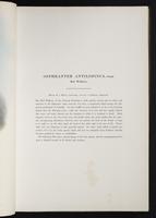 Introduction to the mammals of Australia, 1:42