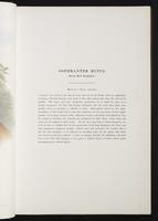 Introduction to the mammals of Australia, 1:34