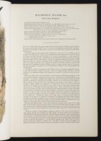 Introduction to the mammals of Australia, 1:16