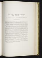 Introduction to the mammals of Australia, 1:262