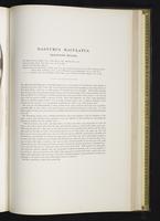 Introduction to the mammals of Australia, 1:250