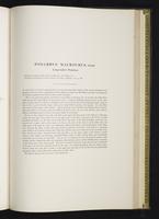 Introduction to the mammals of Australia, 1:238