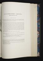 Monograph of the Ramphastidae, 2:228