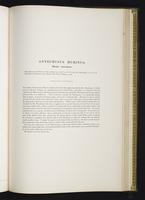 Introduction to the mammals of Australia, 1:226