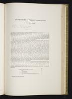 Introduction to the mammals of Australia, 1:218