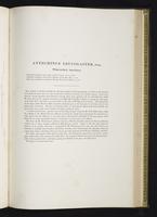 Introduction to the mammals of Australia, 1:206