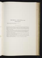 Introduction to the mammals of Australia, 1:174