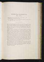 Introduction to the mammals of Australia, 1:166