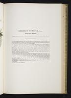 Introduction to the mammals of Australia, 1:158