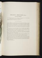 Introduction to the mammals of Australia, 1:154