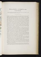 Introduction to the mammals of Australia, 1:130