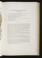 Introduction to the mammals of Australia, 1:126