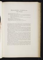 Introduction to the mammals of Australia, 1:118