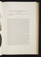 Introduction to the mammals of Australia, 1:114